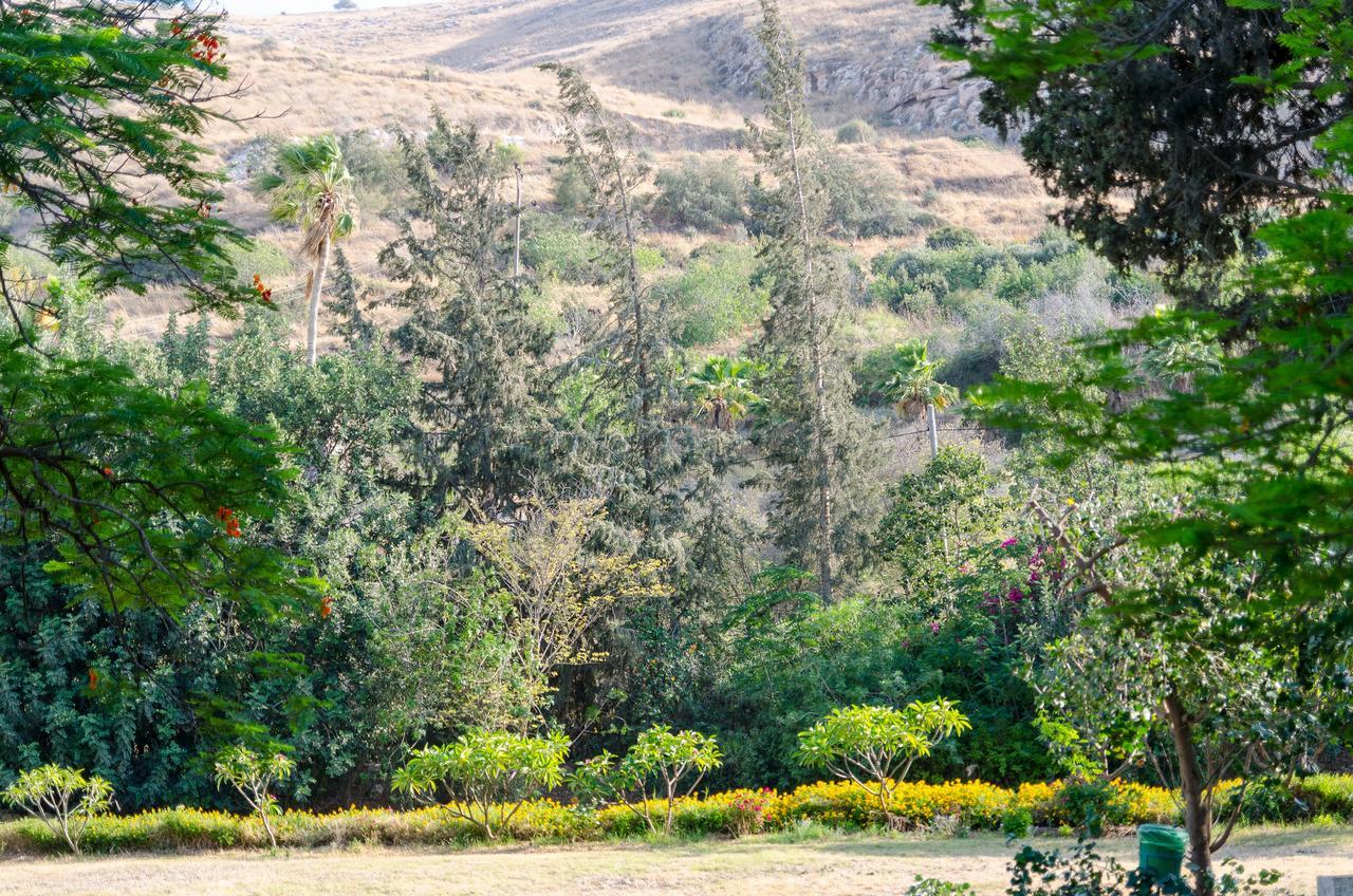 Bait Alfa Kibbutz Country Lodging Bet Alfa Zimmer foto